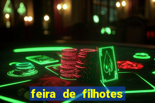 feira de filhotes porto alegre